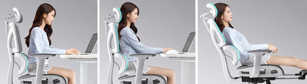 Ergonomic Office Chair with Waist Support 4D Armrests by TOOKFUN Swivel Lift Feature Home Furniture for Computer Gaming