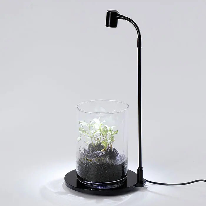 USB Grow Light for Indoor Plants LED Plant Lamp with Stand Flexible Gooseneck Height Adjustable Sun Growing Lamp